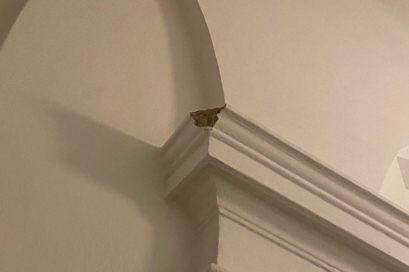 1Planet4All - Ondřej Chlad 1IT