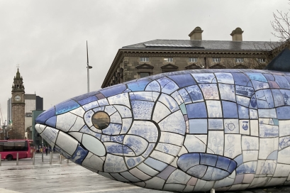 Za praxí do zahraničí II - Irsko 2021