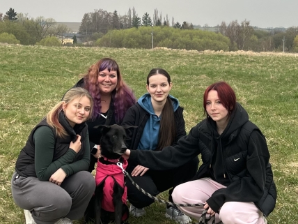 Tradiční návštěva útulku