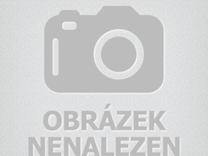 Ředitelské volno